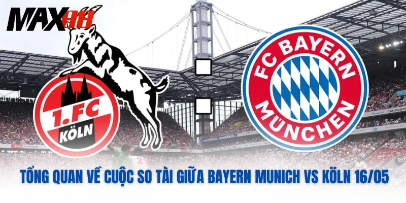 Tổng quan về cuộc so tài giữa Bayern Munich vs Köln 16/05 